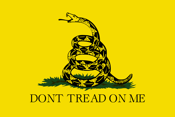 The Gadsden Flag was the first Marine flag and was flown by the Continental navy during the Revolutionary War 