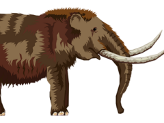 Mammoth and a Paleoindian