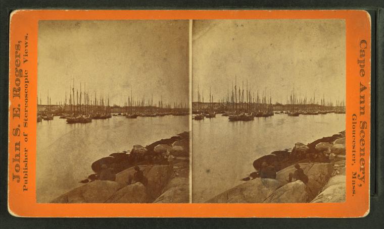 Gloucester harbor from Rocky Point, photographed by John S. E. Rogers, circa 19th century