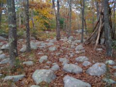 Dogtown, Gloucester, Mass, in 2012. Photo by Rebecca Beatrice Brooks.